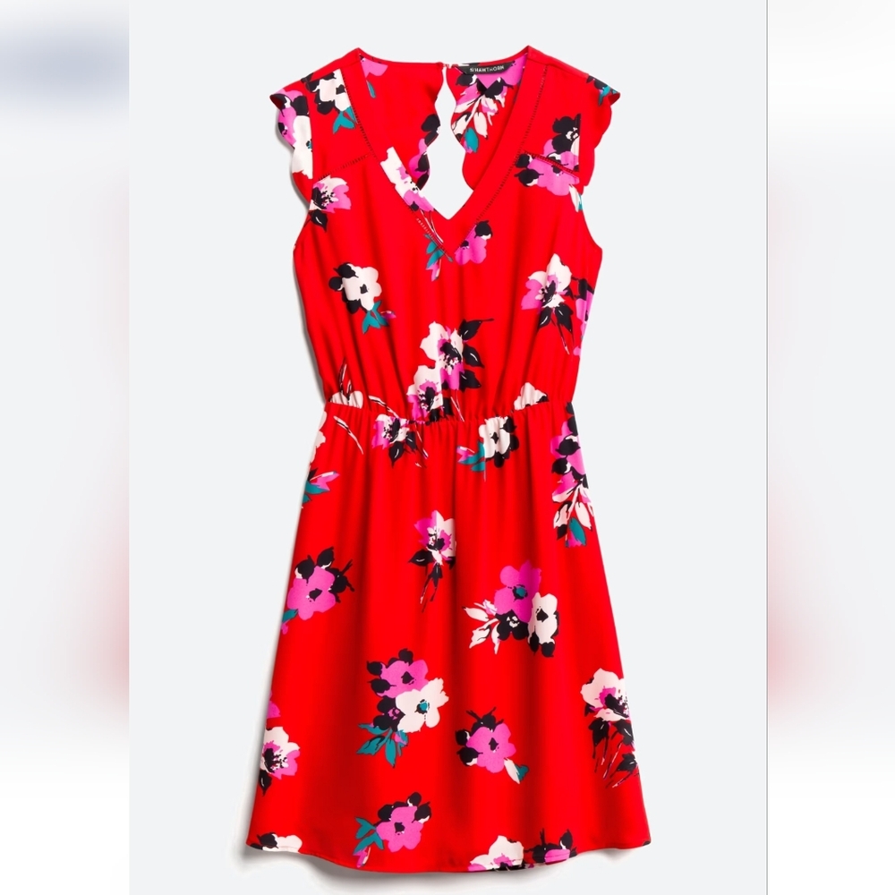 41 Hawthorn Red and Pink Floral Mini Dress